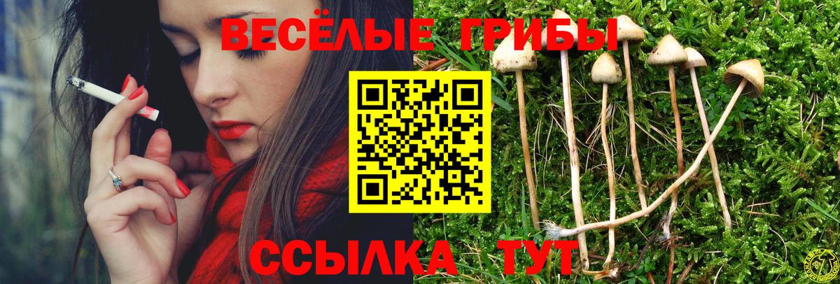 Галлюциногенные грибы мухоморы  Вход с VPN  Кузнецк  Галлюциногенные грибы GOLDEN TEACHER 